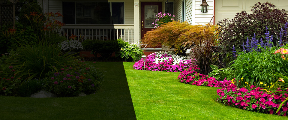 Siren Landscapers